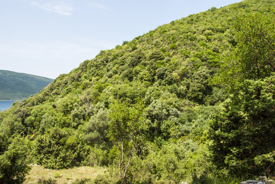 Montenegro's coastline