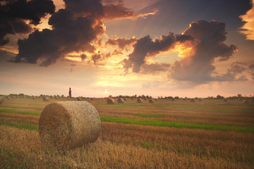 Bales on the field