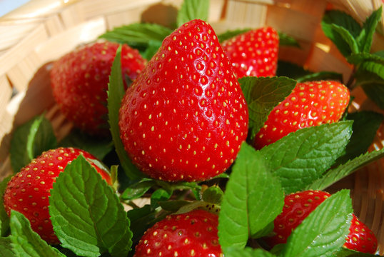 Fragole e Menta