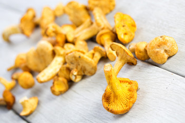 leckere Pfifferlinge