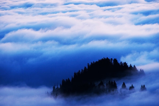 Mountain sea of clouds in sunrise light