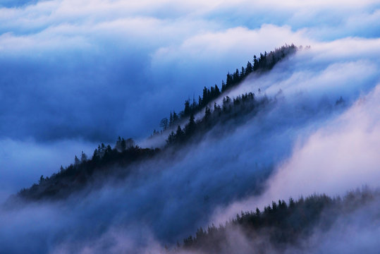 Mountain sea of clouds in sunrise light