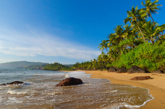 landscape goa