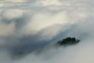 Alpine sea of clouds