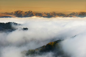Alpine sea of clouds