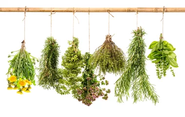 Crédence de cuisine en verre imprimé Aromatique fresh healthy herbs hanging isolated on white background