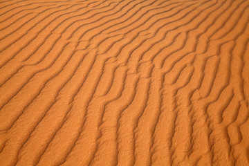 Red sand desert