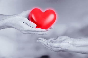 Red heart in hands on grey background