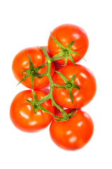 Tomatos