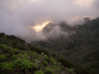 Nebel im Gebirge Teneriffas