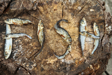 Small dried fishes forming the word fish