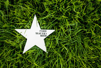 rustic star. decoration on grass with inspirational quote