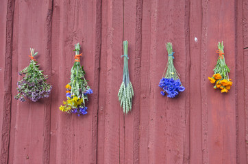 fresh summer healthy  medical flowers bunch on wall