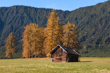 Autumn landscape with alpine hut, Austria