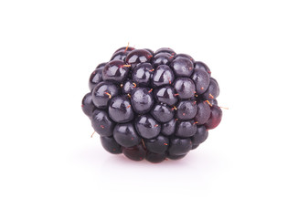 ripe blackberry on a white background
