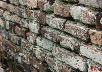 Old brick wall background