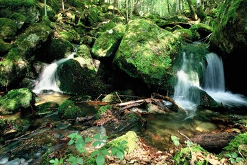 CASCADE DANS FÖRET JURA