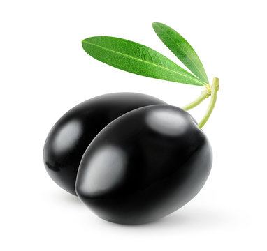 Isolated olives. Pair of black olive fruits with leaves over white background