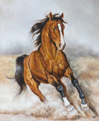 malowanie galopującego konia - 68326462