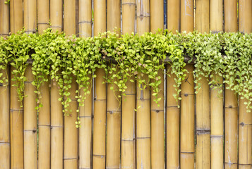 trees on bamboo background
