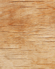 Fototapeta premium Withered wooden texture flecked with cracks