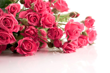 Fototapeta na wymiar The bouquet of Delicate Spray Roses