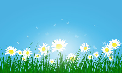 Meadow color background