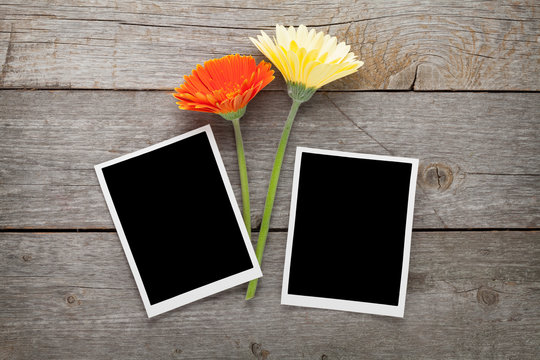 Two colorful gerbera flowers and photo frames