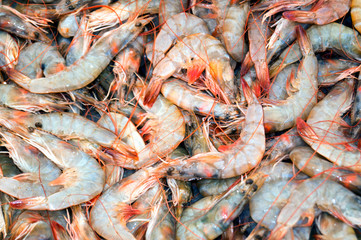 fresh shrimps from the Aeagean sea for cooking