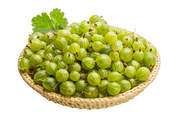 Gooseberry
