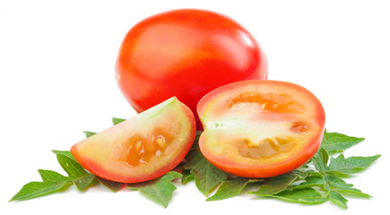 tomatoes isolated