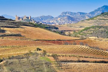 Vineyard, San Vicente de la Sonsierra as background, La Rioja