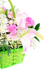 Pink Lily Isolated on White Background