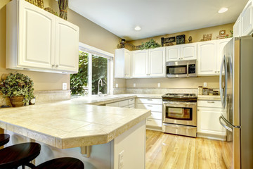 White kitchen room interior