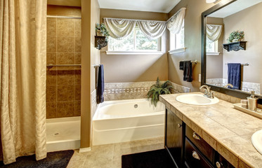 Bathroom interior with bath tub and shower