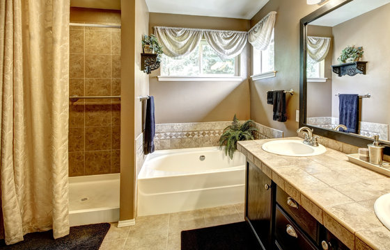 Bathroom interior with bath tub and shower