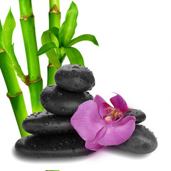 Obraz na płótnie Canvas purple orchid flower end bamboo