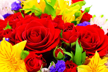 Colorful Flowers Bouquet Isolated on White Background