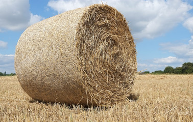 Big straw bale