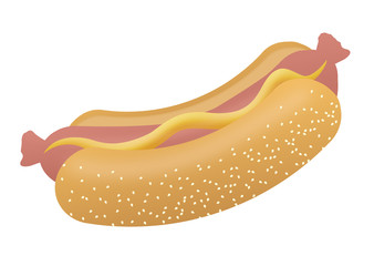 Hotdog with mustard