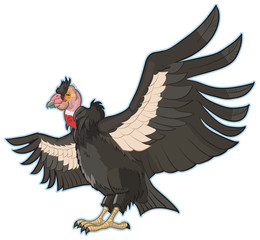 California Condor Vector Clip Art Illustration