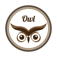 owl design