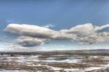Arctic landscape
