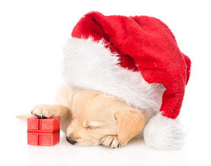 golden retriever puppy dog with gift and santa hat. isolated on