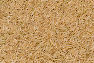Brown rice background