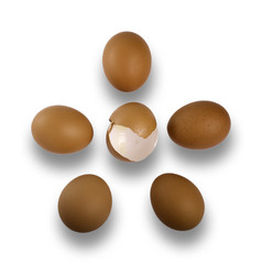 Five tasty crude brown eggs on a white background