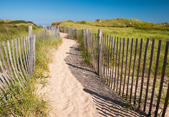 Path to the Beach