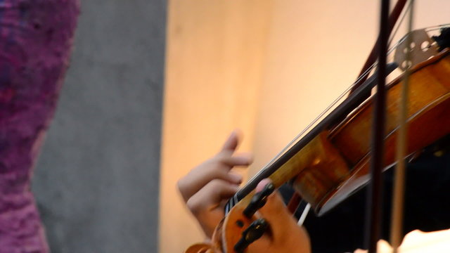 Musician playing violin on a concert in close up