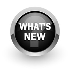 new chrome glossy web icon