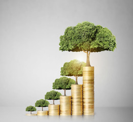 tree growing from coins © denphumi